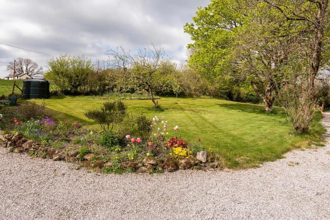 Llys Onnen - North Wales Holiday Cottage Mold Buitenkant foto