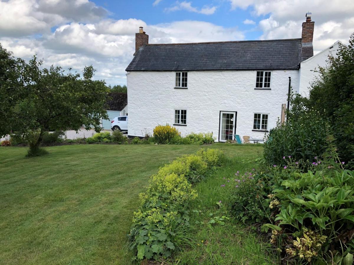 Llys Onnen - North Wales Holiday Cottage Mold Buitenkant foto