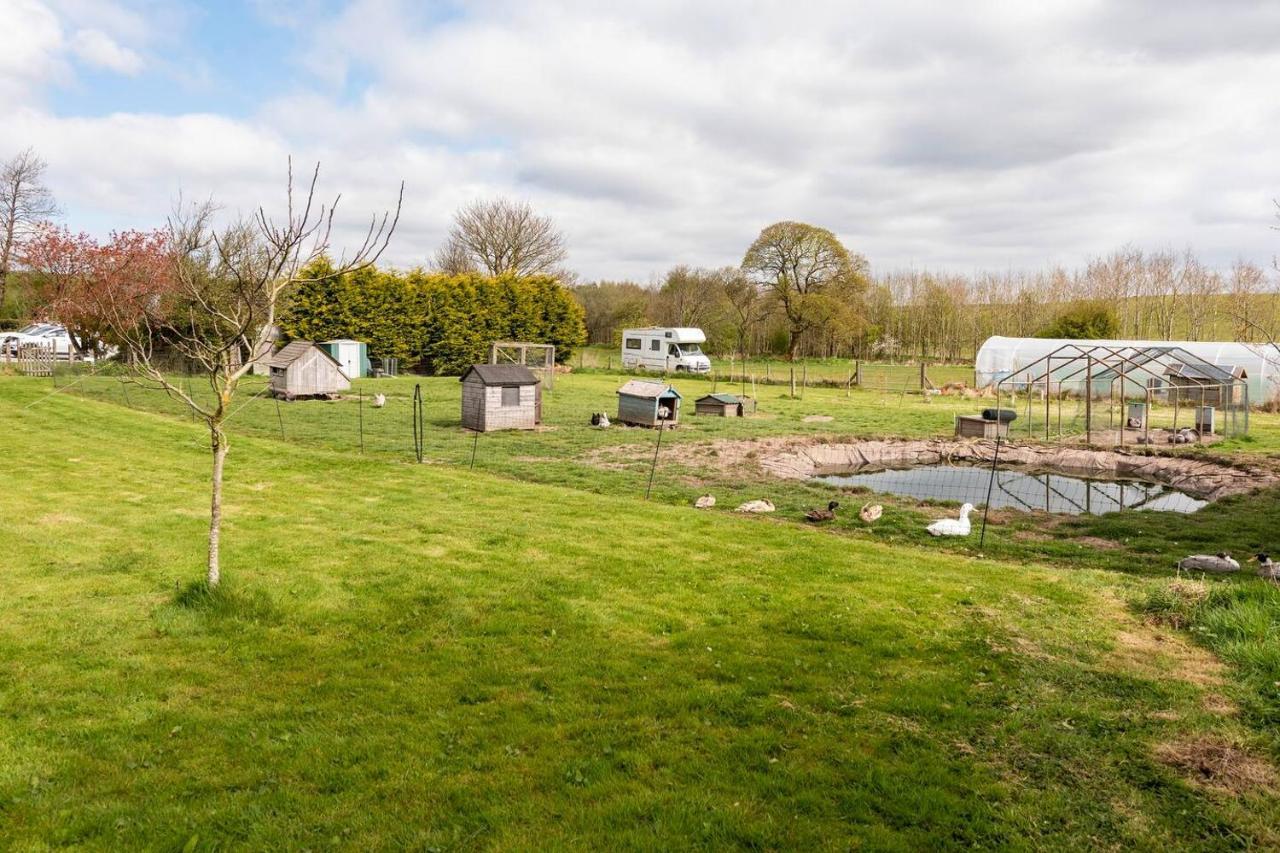Llys Onnen - North Wales Holiday Cottage Mold Buitenkant foto