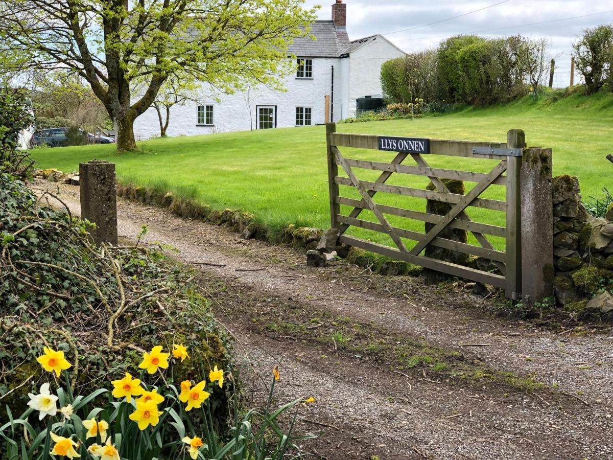 Llys Onnen - North Wales Holiday Cottage Mold Buitenkant foto